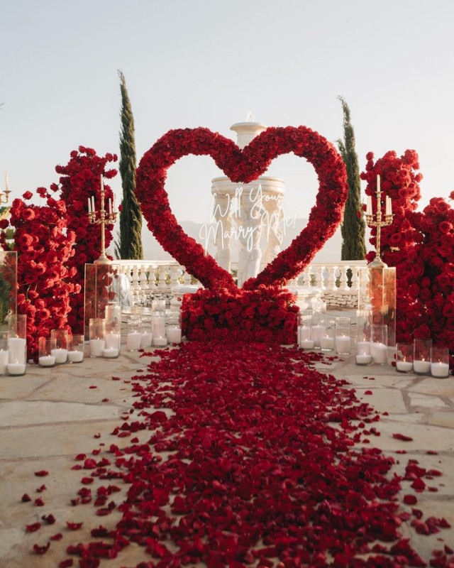 IZNAJMLJUJEM CVIJETNU  SRCE DEKORACIJU 2X2 m